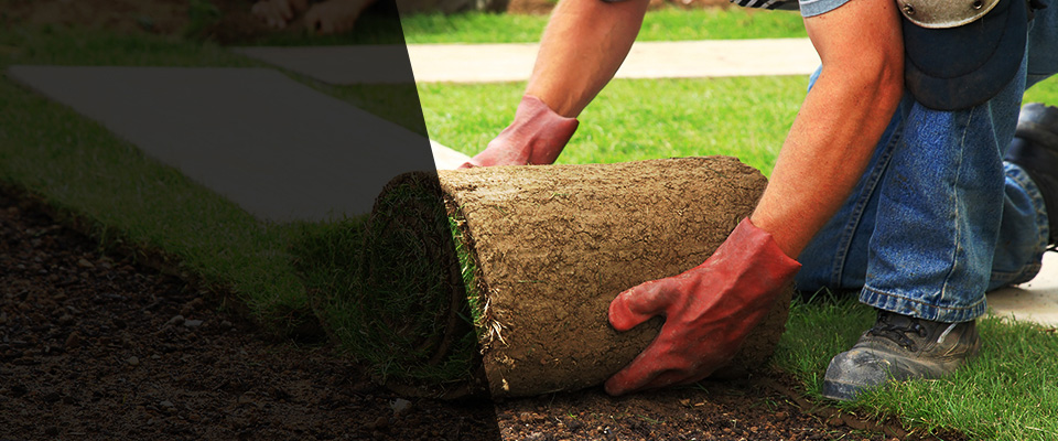 Blanchard Landscapers